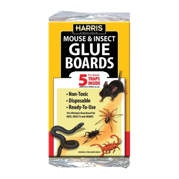 GB-5 Pre-Baited Glue Board