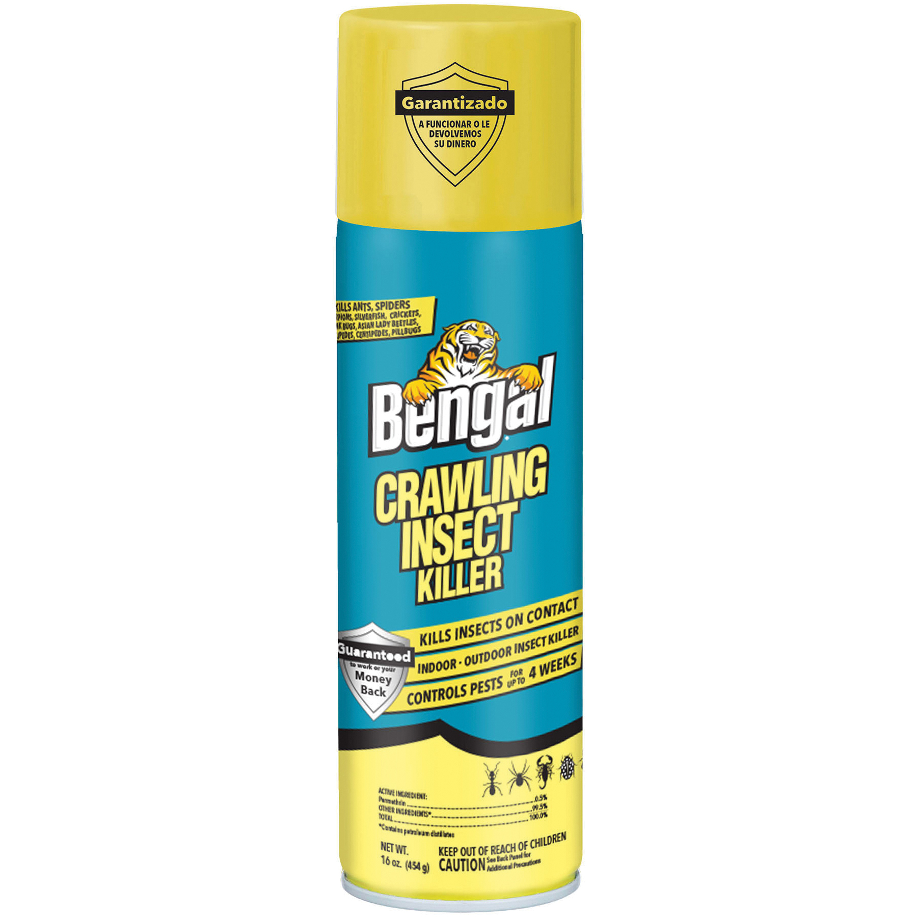 93500 Crawling Insect Killer, Liquid, Spray Application, Indoor, Outdoor, 16 oz Aerosol Can
