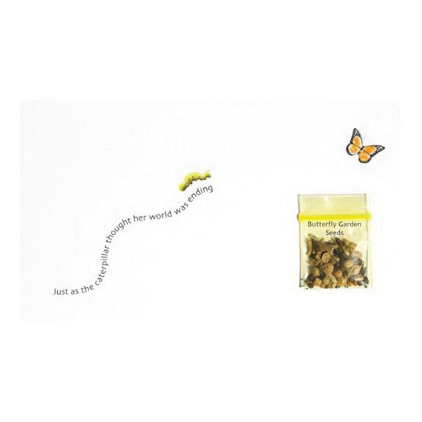 Jumping Cracker Beans FE-0485 Jumping Cracker Beans FE-0485 Friendship and Encouragement Card - 1