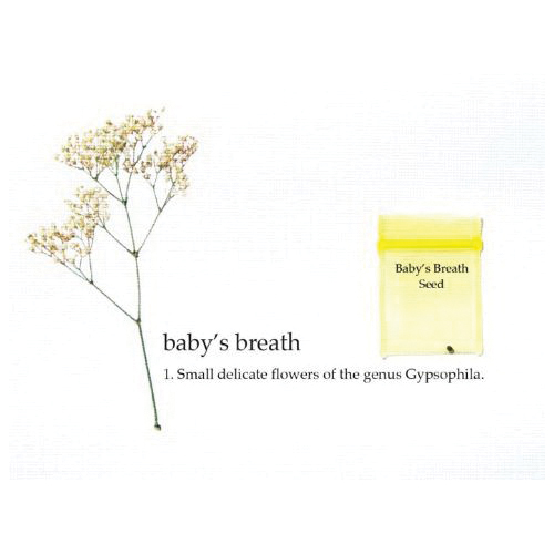 Jumping Cracker Beans BC-0482 Jumping Cracker Beans BC-0482 Congratulations Card, Includes: Baby's Breath Seed - 1