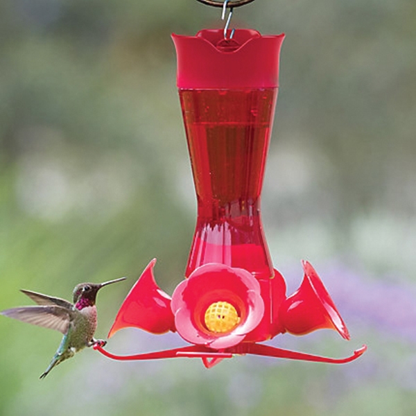 203CPBR Bird Feeder, 8 oz, 4-Port/Perch, Nectar, Glass, Red, 8.38 in H, 7.25 in L, 7.25 in W
