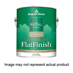 Benjamin Moore Moorlife B105-1B Latex Paint, Flat Sheen, Pastel Base