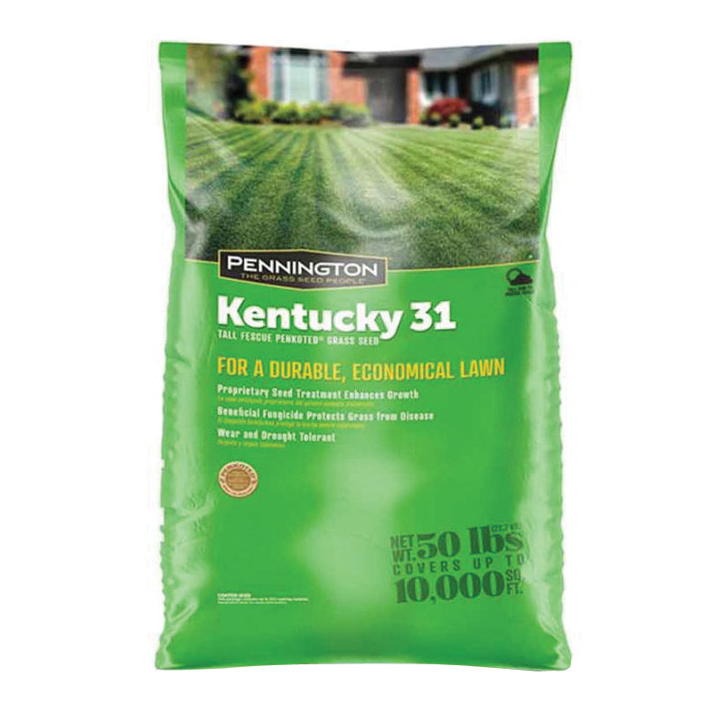 Kentucky 31 Series 100516056 Grass Seed, 50 lb Bag