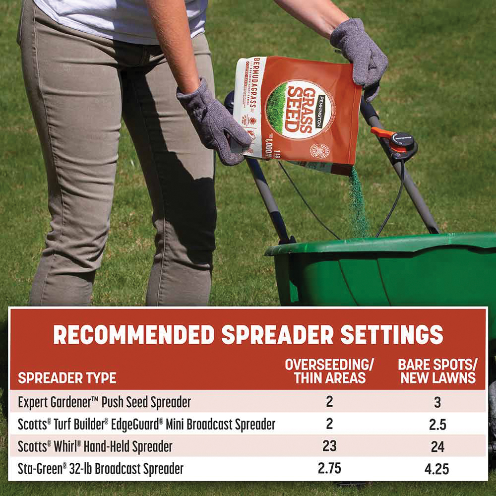 Pennington 100532463 Grass Seed, 1 lb Bag, 1000 sq-ft Coverage Area, Bermudagrass