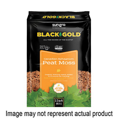 Black Gold 1110101CFC0