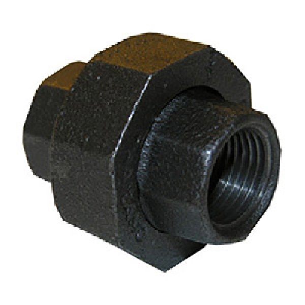 Lasco 30-5306 Ground Joint Union, 1/8 in, FPT, Metal