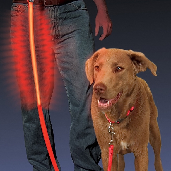 Nite ize nite dawg led sale dog collar