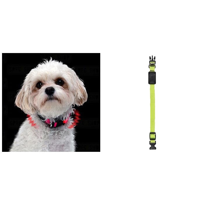 Nite Ize Nite Dawg NND-03-33XS Dog Collar, 8 to 12 in Neck, Nylon, Neon Yellow