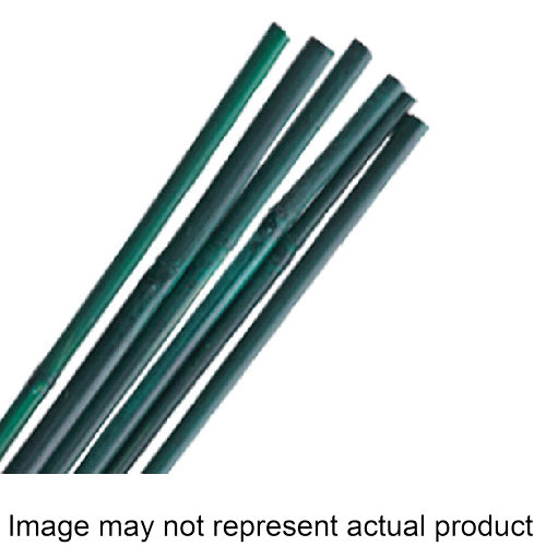 Image not found