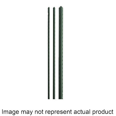 Image not found