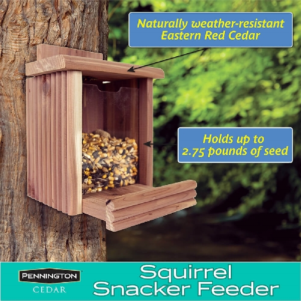 Pennington 100509197 Squirrel Snacker, Cedar Wood - 3