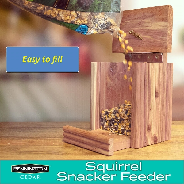Pennington 100509197 Squirrel Snacker, Cedar Wood - 4
