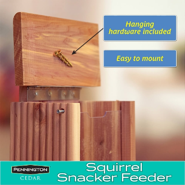 Pennington 100509197 Squirrel Snacker, Cedar Wood - 5