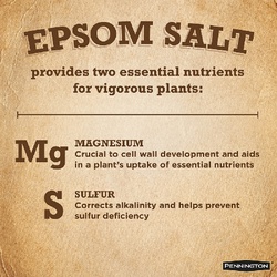 Pennington 397606 Epsom Salt Plant Nutrient, 7 lb Bag, Solid - 3
