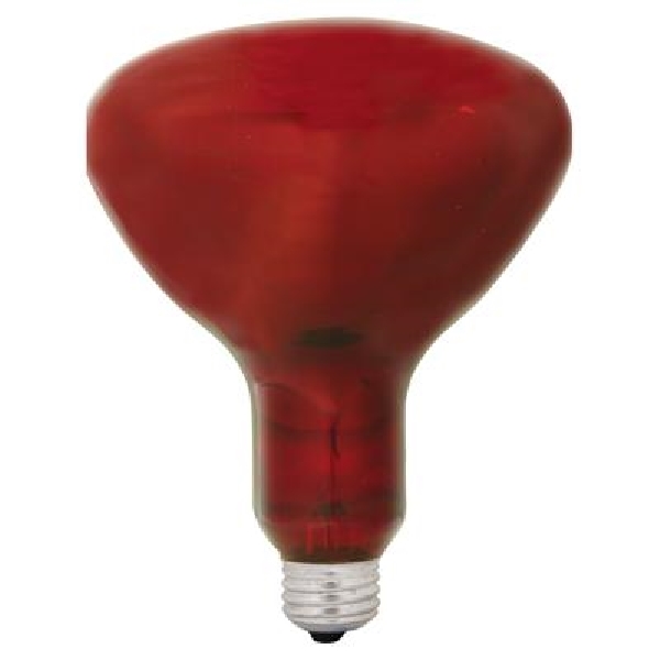 37771 Heat Bulb, 250 W, R40 Lamp, E26 Medium Lamp Base, Red Light, 5000 hr Average Life