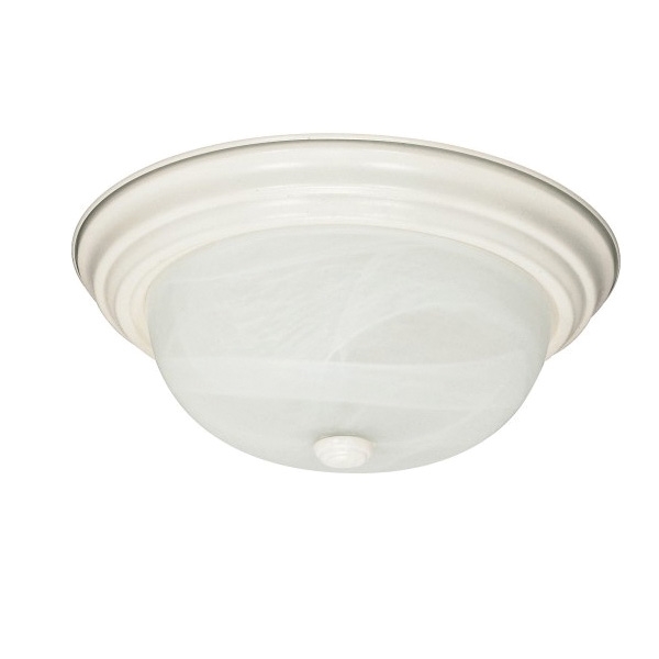 Nuvo Lighting 60-222