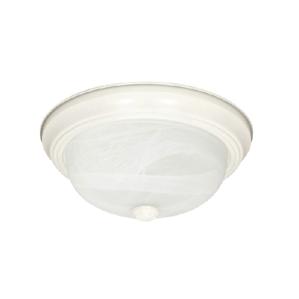 Nuvo Lighting 60-223