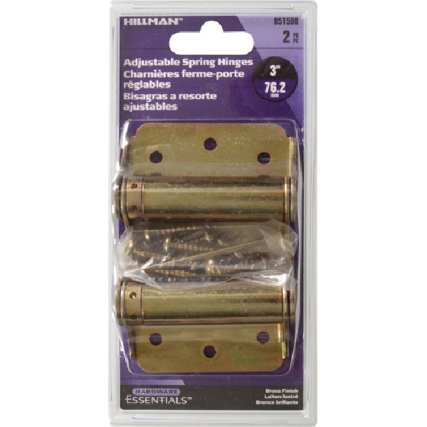 Hardware Essentials 851598 Spring Hinge, Steel, Brass, Surface Mounting - 2