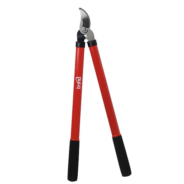Bond 5826