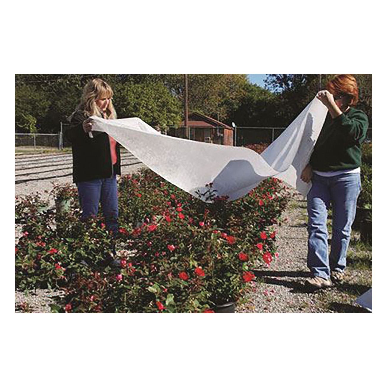 DeWitt SUPREME650 Plant Protection Fabric, 50 ft L, 6 ft W, Plastic, White - 4