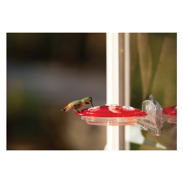 More Birds 30 3N1 Bird Feeder, 3-in-1, 6 fl-oz, Nectar, 3-Port/Perch, Plastic, Red/Yellow, 3 in H - 4
