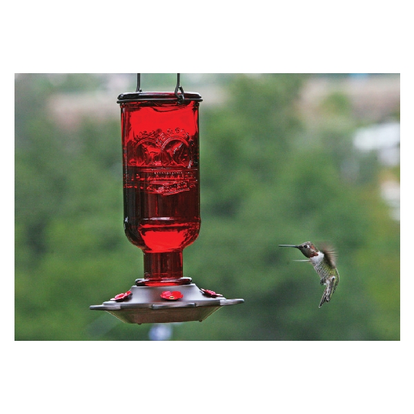 More Birds 38 ELIX Bird Feeder, Elixir, 13 fl-oz, Nectar, 5-Port/Perch, Glass/Metal/Plastic, Bronze/Red - 2