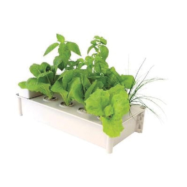 Hydrofarm GCSB Salad Box Hydroponic Salad Garden Kit