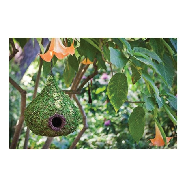 Woven Bird House, Supermoss, 9-1/2 in W x 10-1/2 in H, Maison, Mountain Moss/Wicker - 3