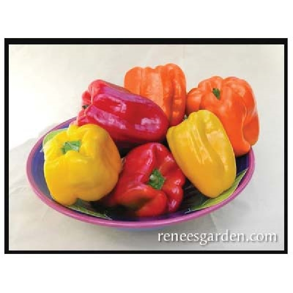 Renee's Garden Bell Pepper Seed Mix - Thumbnail 4