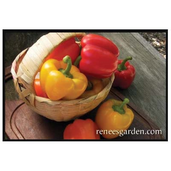 Renee's Garden Bell Pepper Seed Mix - Thumbnail 5