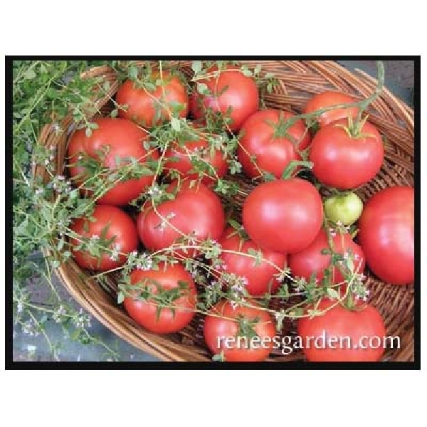 Crimson Carmello Seed, Renee's Garden, April to June Outdoor, February to March Indoor Planting, 20 to 25 Pack - 3