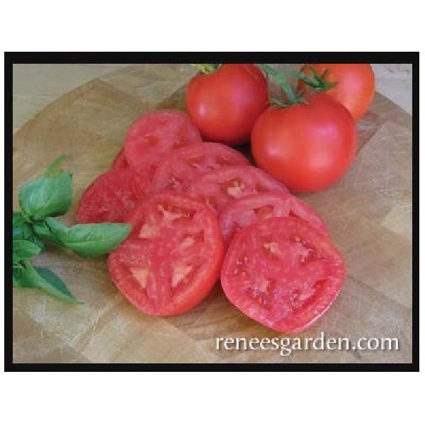 Crimson Carmello Seed, Renee's Garden, April to June Outdoor, February to March Indoor Planting, 20 to 25 Pack - 5