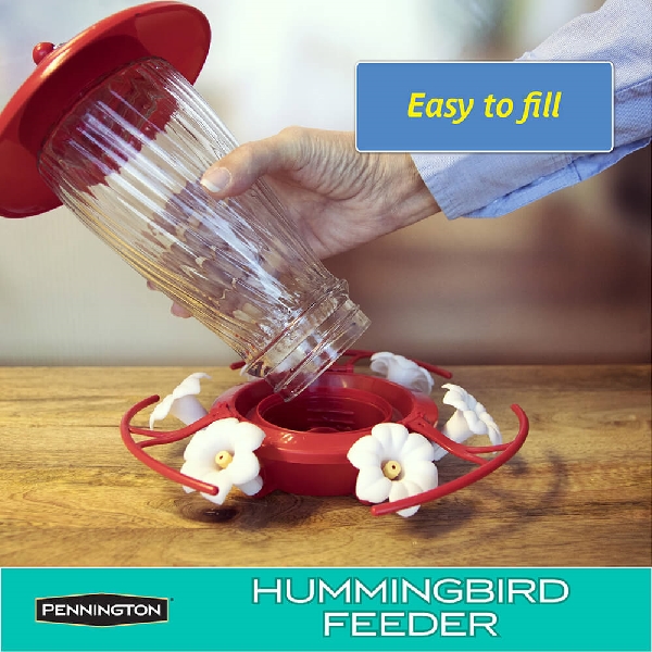 Pennington 100519438 Bird Feeder, 32 fl-oz, Nectar, 6-Port/Perch, Glass, Red, 10.13 in H, Hanging Mounting