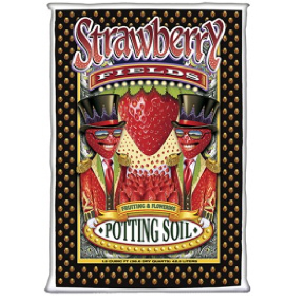 Strawberry Fields 59104