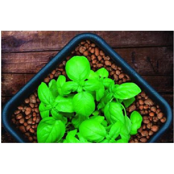 Grow!T GMC10L Clay Pebbles, 10 L - 3