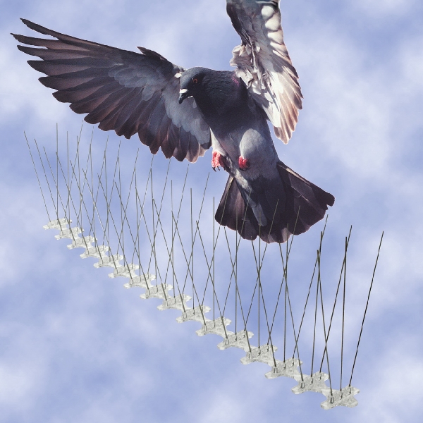 Bird-B-Gone MM200156 Bird Spike, Mega, 72 in L