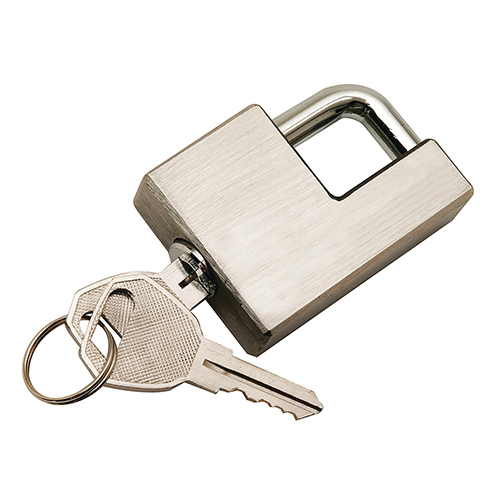 Reese Towpower 7005800 Coupler Latch Lock, Adjustable Keyed Entry Lock, Stainless Steel