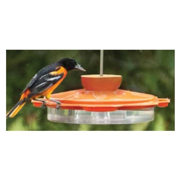 Audubon NAO1 Bird Feeder, Classic, 16 oz Nectar, 3 oz Jelly, 1 Orange Half, Fruits, Jelly, Nectar, 8-Port/Perch