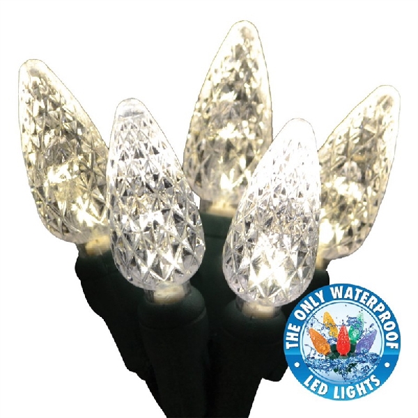 Holiday Bright Lights LEDBX-C650-WW Light Set, Warm White, 50-Lamp