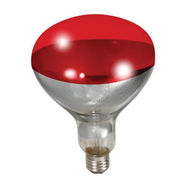 170024 Bulb, 120 V, 250 W