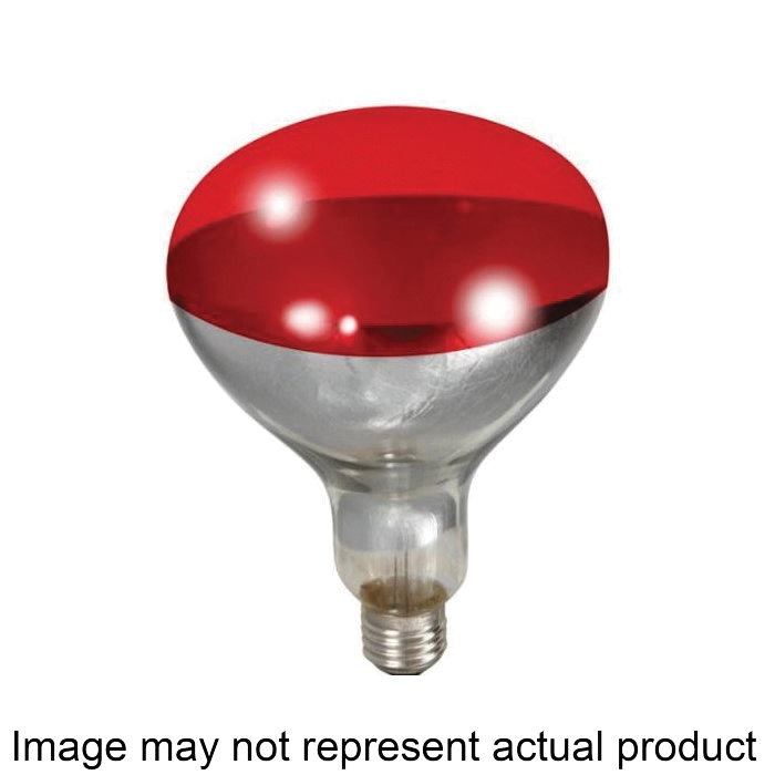 170024 Bulb, 120 V, 250 W, Alloy/Glass