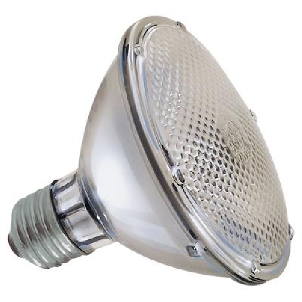 69166 Halogen Bulb, 38 W, E26 Medium Skirt Lamp Base, PAR20 Lamp, 580 Lumens, 2850 K Color Temp