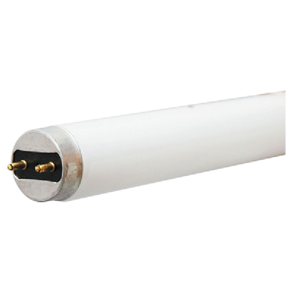 66830 Light Bulb, 32 W, T8 Lamp, G13 Medium Bi-Pin Lamp Base, 2900 Lumens, 6500 K Color Temp, Daylight Light