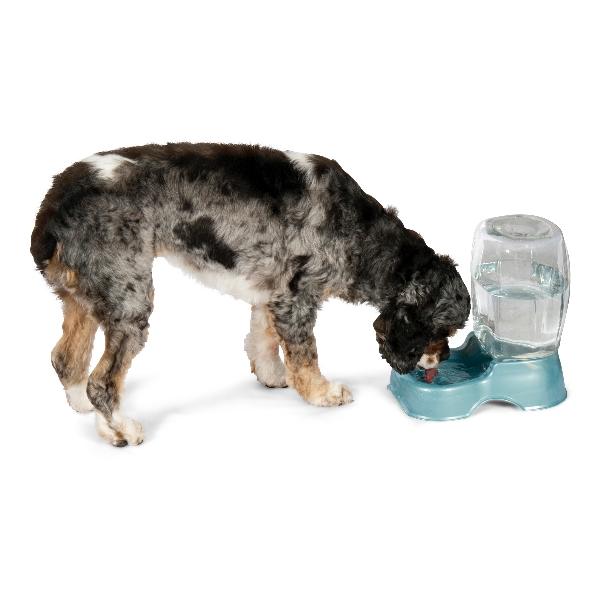 Petmate Pet Cafe 24415 Gravity Waterer, S, 1.5 gal Volume, PET, Pearl Tan