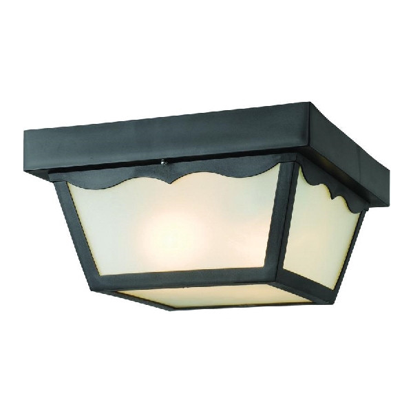 54-4916 Porch Ceiling Light, 120 W, Metal Fixture, Black