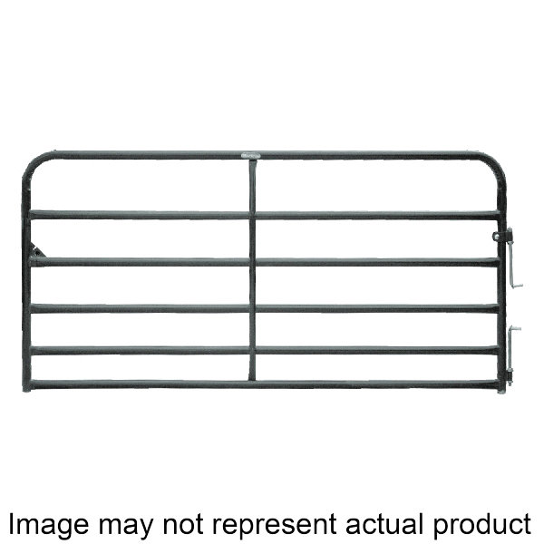 Image not found
