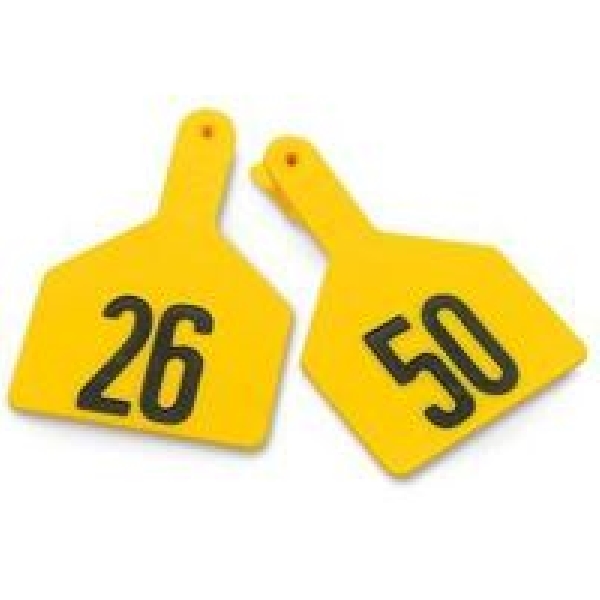 Z Tags 9200101