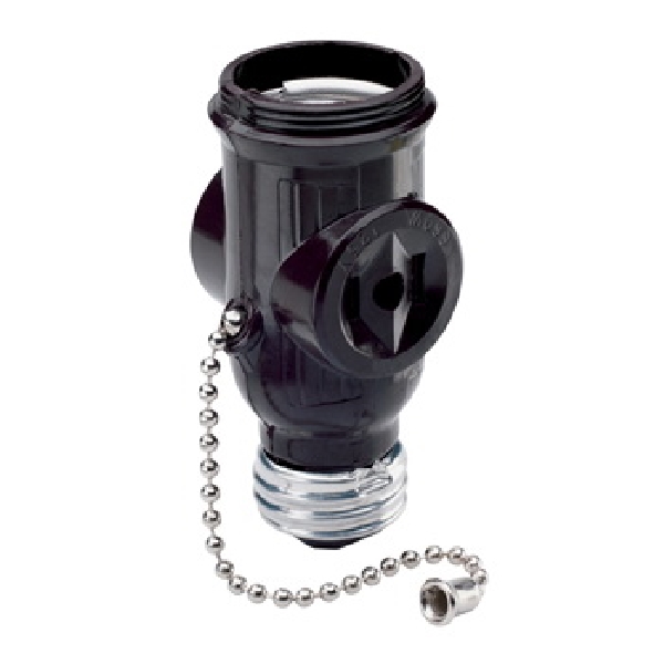 Pass & Seymour 1406CC10 Lamp Holder/Outlet Adapter, 250 W, Black