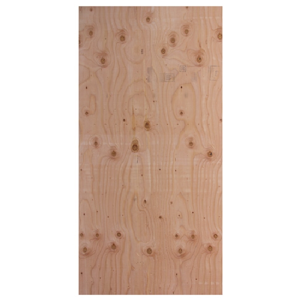 3/4 in x 4 ft x 8 ft CDX Plywood - 2
