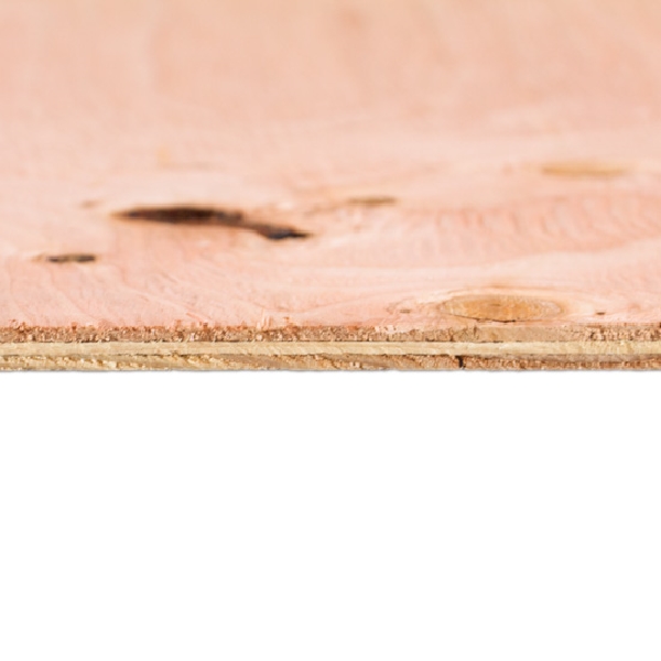 3/8 in x 4 ft x 8 ft CDX Plywood - 3
